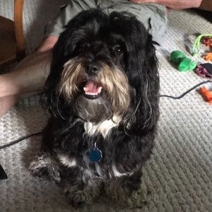 Meet your Posher, Ryan